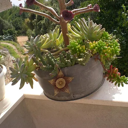 Rubinić Dom wakacyjny *