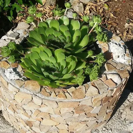 Dom wakacyjny Rubinić Zavala