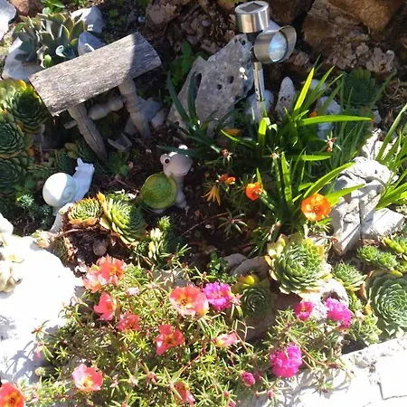 Rubinić Dom wakacyjny Zavala