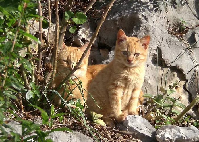 Rubinic 度假居 萨瓦拉