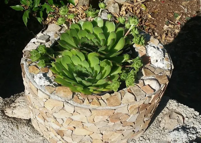 度假居 Rubinic 萨瓦拉