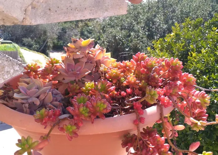 度假居 Rubinic 萨瓦拉